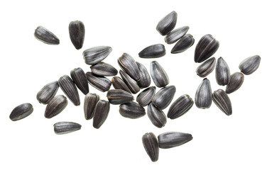 Fried black seeds isolated on white background