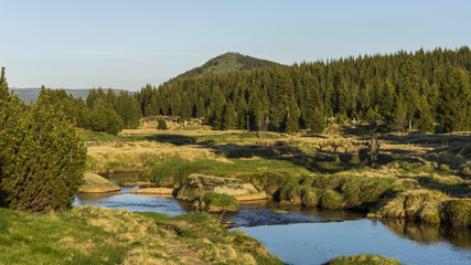Obraz premium Nice landscape full of trees, lakes and meadows with clear blue sky.