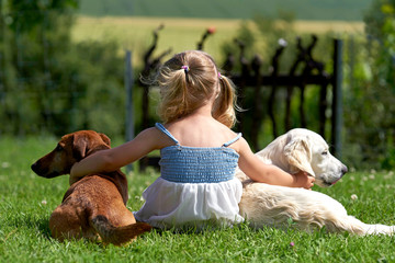 Tierfreundschaft