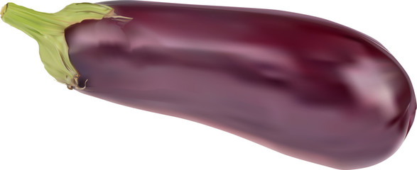 illustration with ripe aubergine isolated on white