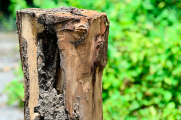 One moment to be long for the mood.