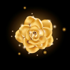 Obraz premium Gold shine flower