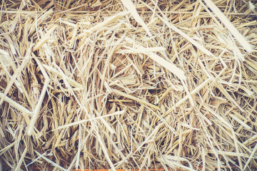 Pattern of rice straw in the farm, Background, close up