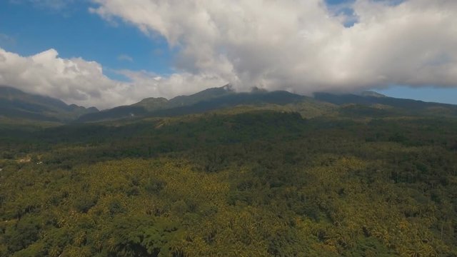 Mountains with rainforest covered with green vegetation and trees on the tropical island, landscape. Aerial view: Mountains and hills with wild forest, sky clouds. Hillside rainforest and jungle