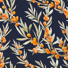 Watercolor sea buckthorn pattern