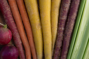 Multi Colored Carrots, Celery, and Radishes on a Wooden Cutting Board