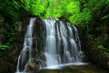 Fototapeta na wymiar 夏の立又渓谷　二の滝