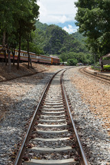 Fototapeta na wymiar Railroad tracks with train and trees on both sides