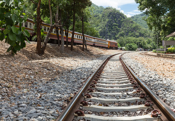 Railroad tracks with train and trees on both sides