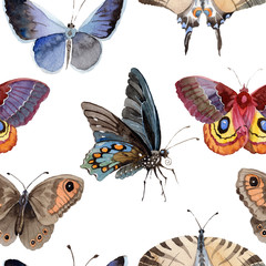 Naklejka premium Watercolor butterfly pattern tender insect, intresting moth, isolated wing illustration. Butterfly names: swallowtail, monarch, queen. Aquarelle for background, wrapper pattern, frame or border.