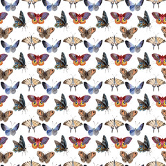 Watercolor butterfly pattern tender insect, intresting moth, isolated wing illustration. Butterfly names: swallowtail, monarch, queen. Aquarelle for background, wrapper pattern, frame or border.