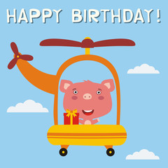 Happy birthday! Funny pig with birthday gift flying on helicopter. Birthday card with pig in cartoon style.