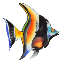 Watercolor aquatic underwater colorful tropical fish set. Red sea and exotic fishes inside.