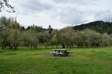 Fototapeta premium Picnic Table in Nature
