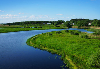 Summer landscape, river
