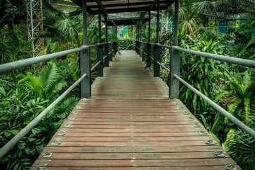 Footbridge in the park
