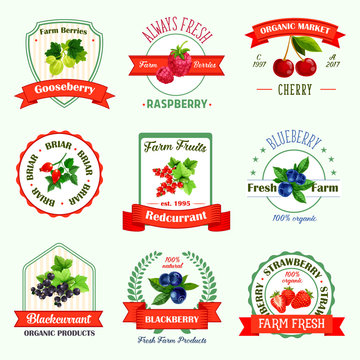 Berries vector icons for berry product labels