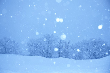 雪景色の白川郷