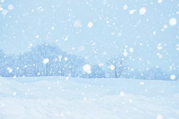 Foto op Plexiglas 雪景色の白川郷 © sakura