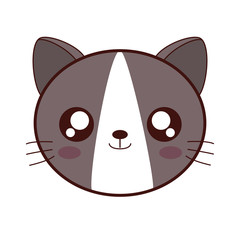 kawaii cat animal icon over white background vector illustration