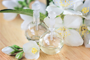 Essential oil in glass bottle with fresh jasmine flowers, beauty treatment. Spa concept Selective focus. Fragrant oil of jasmine flowers macro wooden table horizontal. Herbs have medicinal properties.