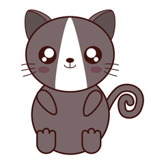 kawaii cat animal icon over white background vector illustration