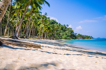 Sandy Beach with Palm trees, El Nido, Palawan, Philippines