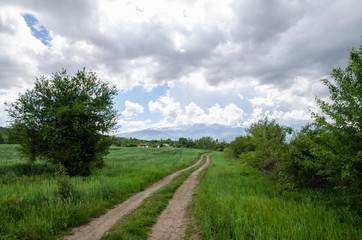 Empty road in the countryside with forest in surrounding