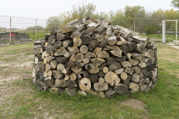 Trunks of trees, close up. Wood industry. Pile of wood. Texture of wood. Trunks of trees piled on the ground in Gura Portitei, Romania