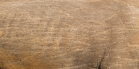 rhino skin texture