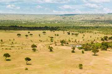 Naklejka na ściany i meble maasai mara national reserve savanna at africa