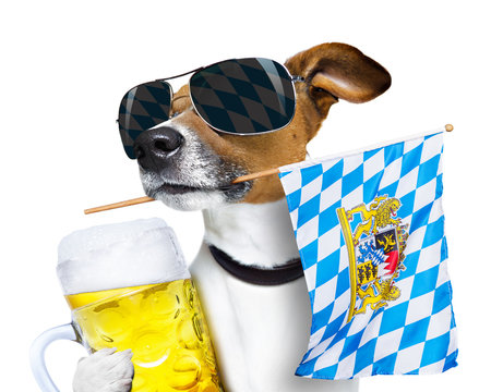 bavarian beer dog festival