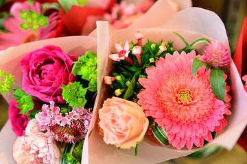Colorful flowers