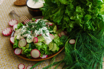 Obraz na płótnie Canvas Fresh green cucumber and red radish chopped slices for salad.