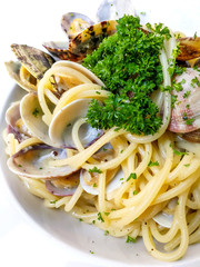 Pasta with Clam Dinner Dish on a the table