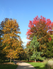 Parc en automne