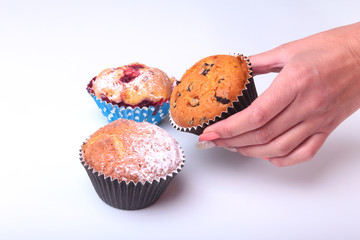 Homemade Blueberry ore chocolate muffins with powdered sugar and fresh berries in woman hand.