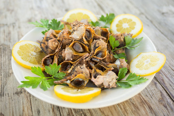 Piatto di bocconi di mare con prezzemolo e limone, boiled sea snails, Mediterranean Food