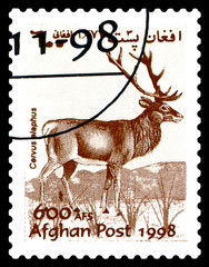 Postage stamp.  Noble deer.