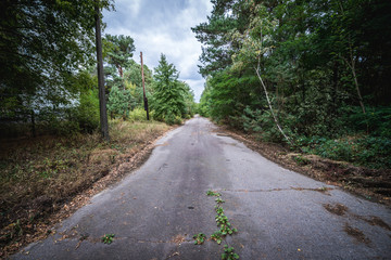 Road in abandoned Pripyat city in Chernobyl Exclusion Zone, Ukraine