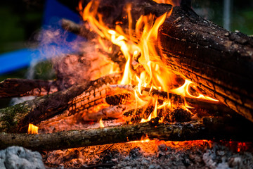 Camp fire in the night with burning wood and flames.