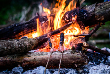 Making and cooking Hot dog sausages over open camp fire.