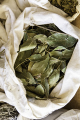Aromatic herbs in a market