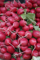 Radish on the market, Colorful photo of radish with defocused background, Selective focus with shallow depth of field