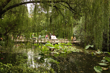 Fototapeta premium People´s Park