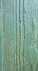 wood grungy background with space for your design