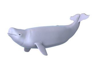 3D Rendering Beluga White Whale on White