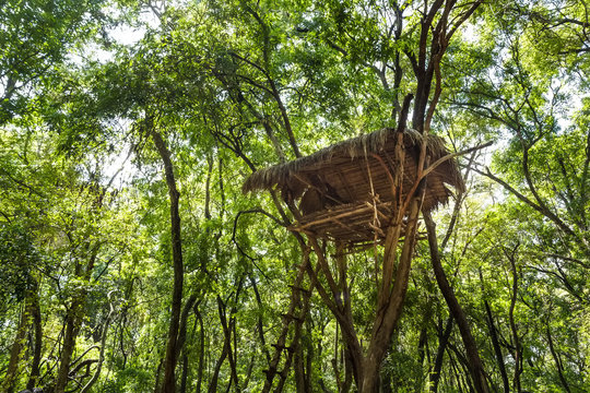 House of vedda people