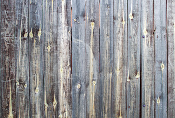 Fence from the boards. Wood background. Different texture of vertical planks