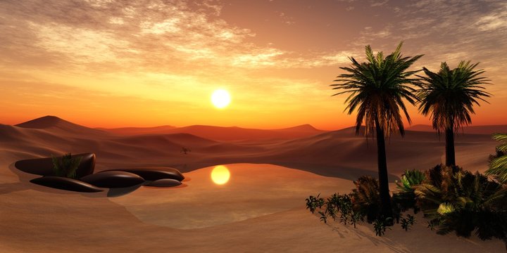 Oasis
Desert landscape with a pond, palm trees and stones
